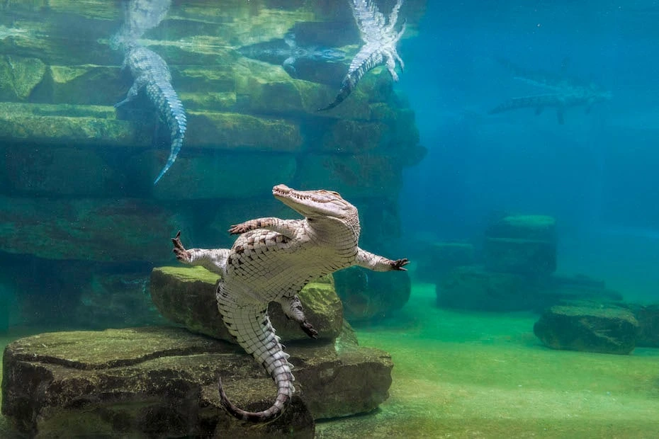 New Tourist Attractions in Dubai