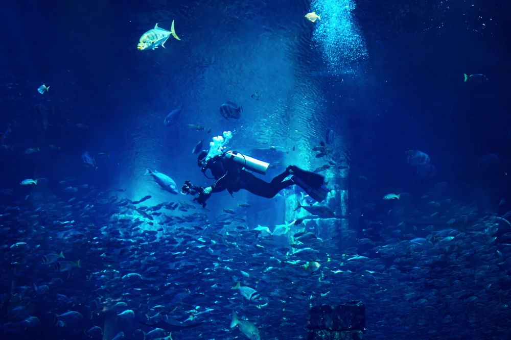New Tourist Attractions in Dubai